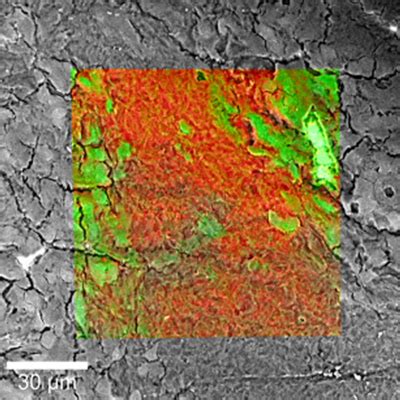 Correlative Raman Imaging And Scanning Electron Microscopy Raman Sem