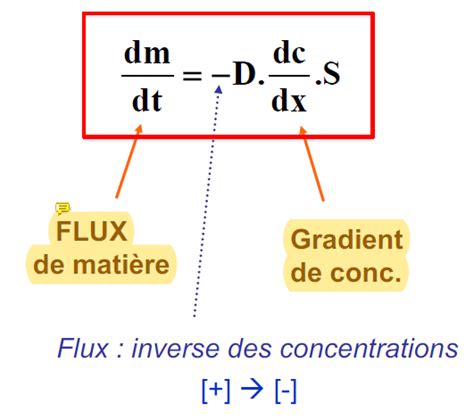 Découvrir 80 imagen gradient de concentration formule fr