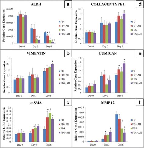 Gene Expression Of Corneal Fibroblasts Differentiation And Wound