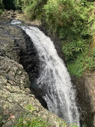 Best Waterfall Trails In Natural Bridge AllTrails