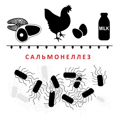 Сальмонеллез: причины, симптомы и лечение в статье инфекциониста ...