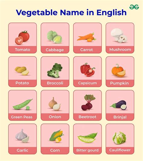 Vegetables Names List With Picture