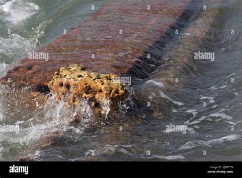 A Landscape View Of The Coral On Mand Bay Beach Kenya Stock Photo Alamy