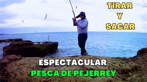 Pesca De Pejerrey De Costa Agarramos Un CARDUMEN DE PEJERREY YouTube