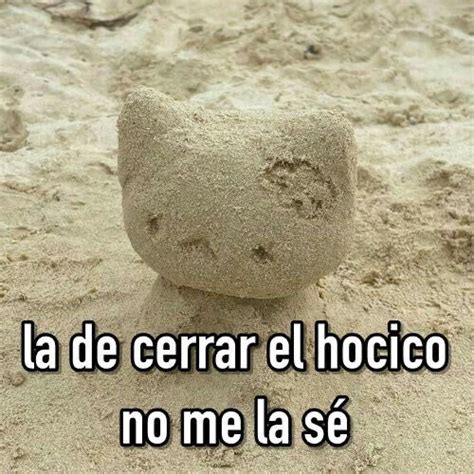 𝐒𝐓𝐑𝐄𝐀𝐌 ʸᵒᵘⁿᵍ ᵐⁱᵏᵒ | Imágenes divertidas, Imágenes graciosas, Imagenes ...