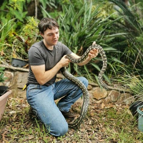 Snake Catcher Sunshine Coast Call Outs Snake Rescue