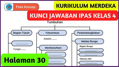 Ipas Kelas 4 Halaman 30 Kurikulum Merdeka Peta Konsep Tumbuhan Youtube