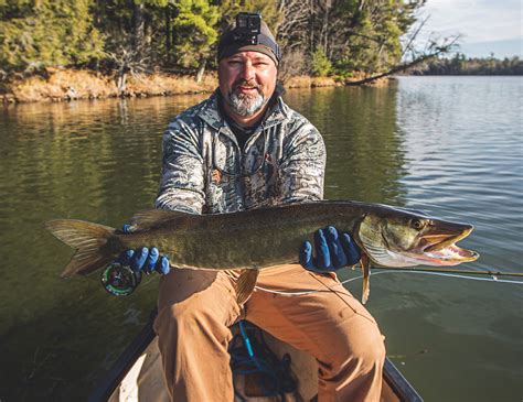 Want to Catch a Muskie on a Fly Rod? Never Give Up | Outdoor Life