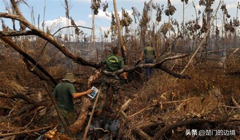 聯合國：氣候變化影響土地質量和糧食生產 每日頭條