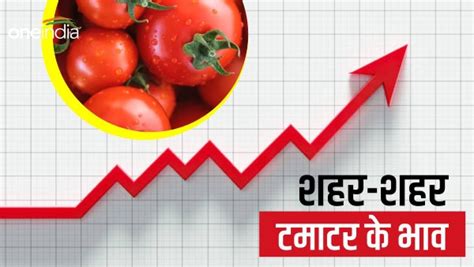 Tomato Per Kg Price देश के प्रमुख शहरों में जानिए आज के टमाटर के भाव Tomato Price Today