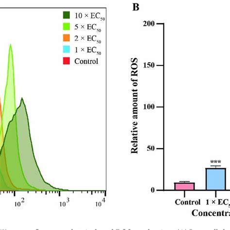 Compound 6e Induced ROS Production A Intracellular ROS Generation In