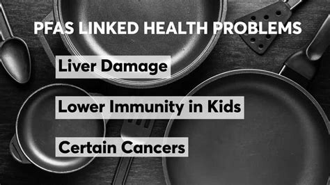 How To Avoid Pfas In Cookware Safe Choices Kitchen Bap