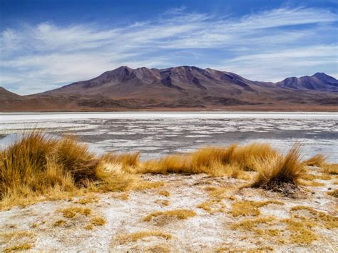 Exploring The Altiplano And Salar De Uyuni Bolivia Treksnappy