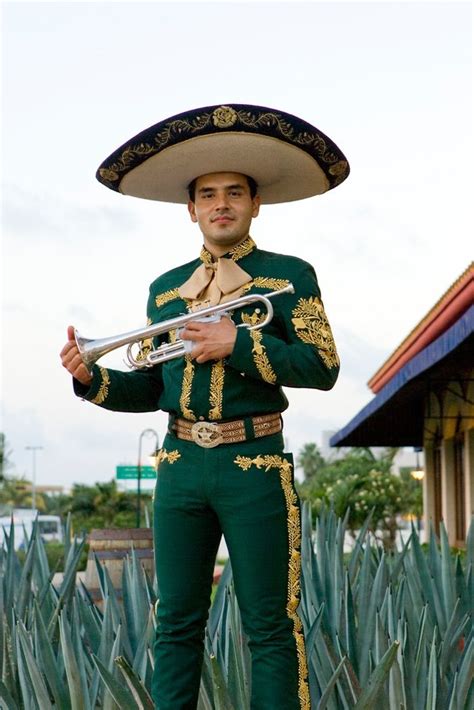 Mariachi embroidery | Charro outfit, Mariachi suit, Mexican outfit