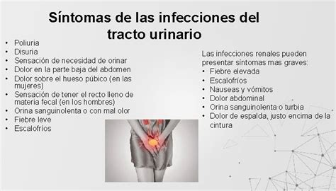 Infecciones Bacterianas Del Tracto Urinario Tema Grupo