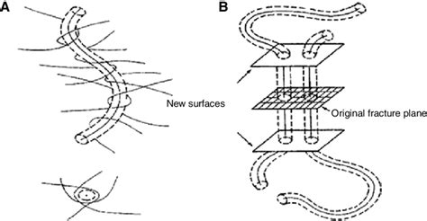 Schematic illustration of the polymer reptation model (A) Reptating... | Download Scientific Diagram