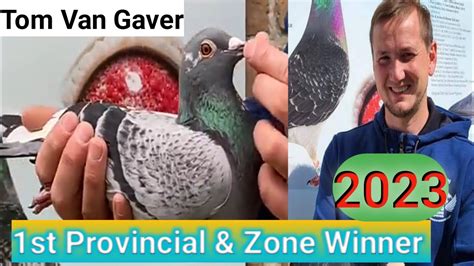 Tom Van Gaver St Prov Zonal Racing Pigeons Youtube