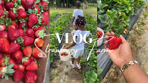 Daily Vlog Cook With Me Walmart Haul Strawberry Farm Youtube