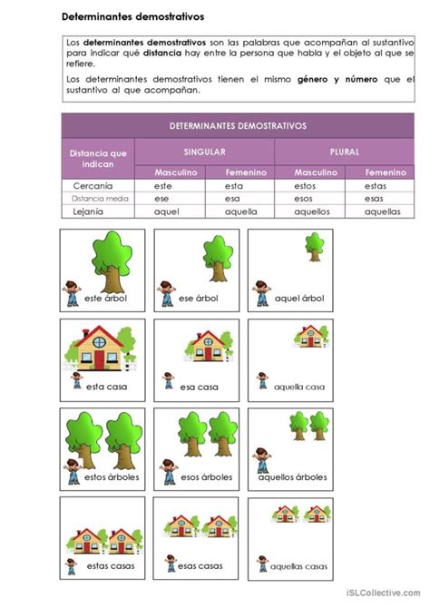 Ejercicio Online De Los Determinantes Determinantes Demostrativos