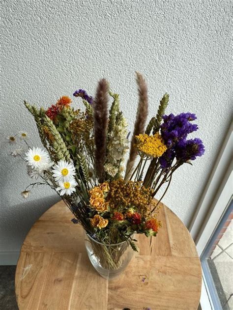 Droogbloemen Boeket Cm Droogbloemen Dried Flowers Gedroogde