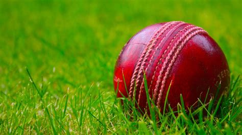 Leather Ball Cricket Tournament From Dec 30 Entries Invited Star Of