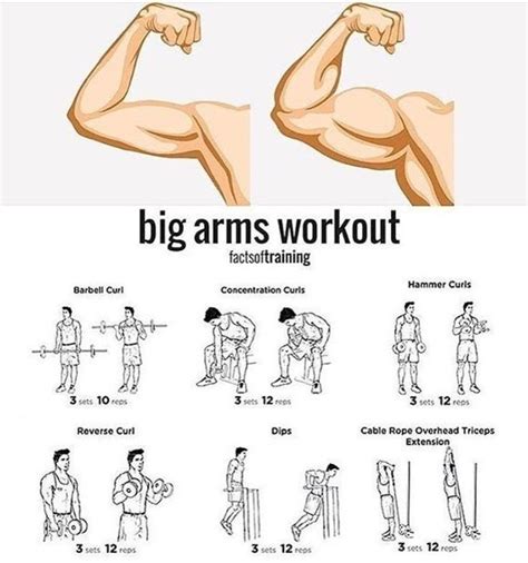 High Volume Arm Workout - Fitness and Power | Arm workout, Gym workout ...