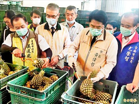 台南》鳳梨銷日58噸 黃偉哲當「一日員工」 生活 自由時報電子報