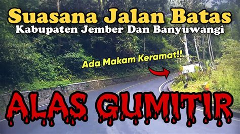 JALAN ALAS GUMITIR PERBATASAN JEMBER DAN BANYUWANGI YouTube