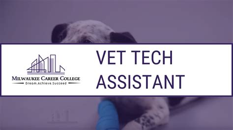 Veterinary Assistant Training Program Youtube