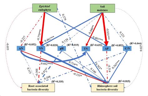 The Structural Equation Modeling Showing The Causal Relationships