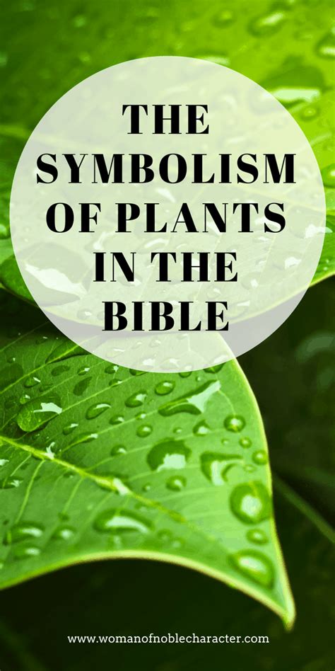 The Incredibly Interesting Symbolism Of Plants In The Bible Artofit