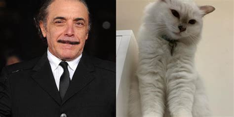 Nino Frassica E Il Gatto Smarrito Ancora Nessuna Notizia Del Suo Hiro