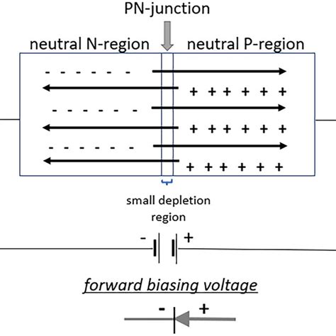 Grotthuss mechanism of H⁺ transport through hydrogen bonding (hop and... | Download Scientific ...