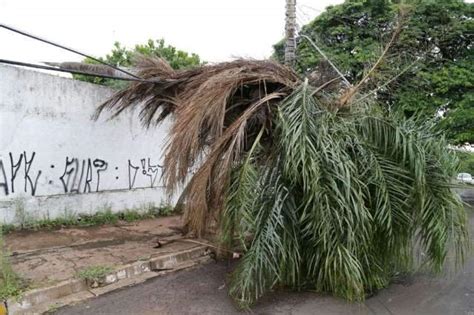 Chuva Derruba Fia O Na Bandeirantes E Moradores Ficam Sem Energia