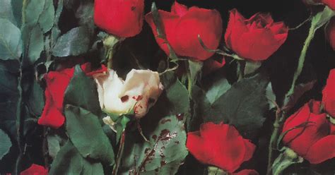 THEMES FROM GREAT CITIES Concrete Blonde Bloodletting