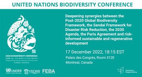 Deepening Synergies Between The Post 2020 Global Biodiversity Framework