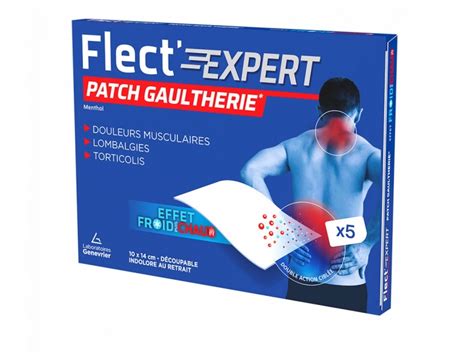 Flect Expert Patch Gaultherie Froid Chaud X Cm Patchs