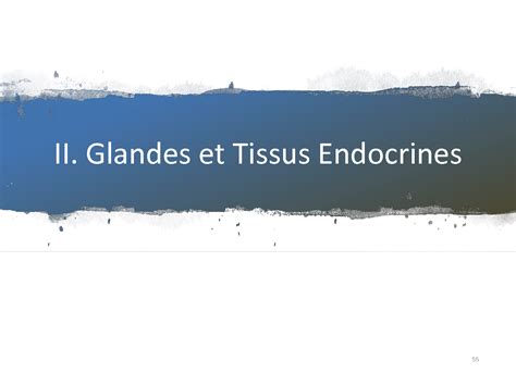 SOLUTION Physiologie Des Grands Syst Mes Chap 1 Syst Me Endocrinien