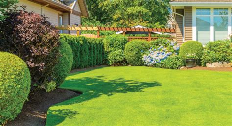 Lawn Care Services The Best Gardens 815 995 5374