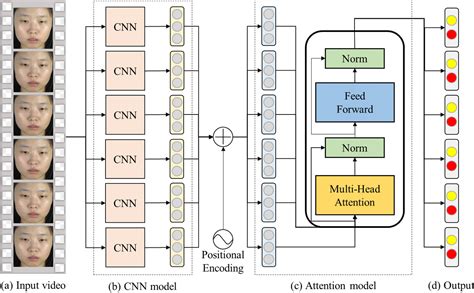 Spatio Temporal Convolutional Attention Network For Spotting Macro And