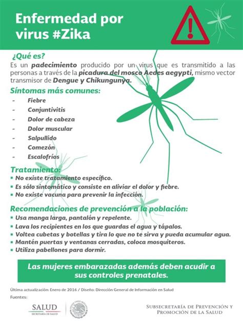 Recomendaciones Para Evitar El Virus Del Zika El Siglo De Torre N