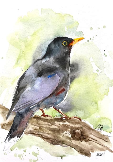 Ein Schwarzer Amsel Originale Aquarell Malerei Etsy