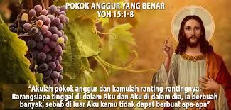 YOHANES 15 1 8 YESUS KRISTUS POKOK ANGGUR YANG BENAR TEOLOGIA REFORMED