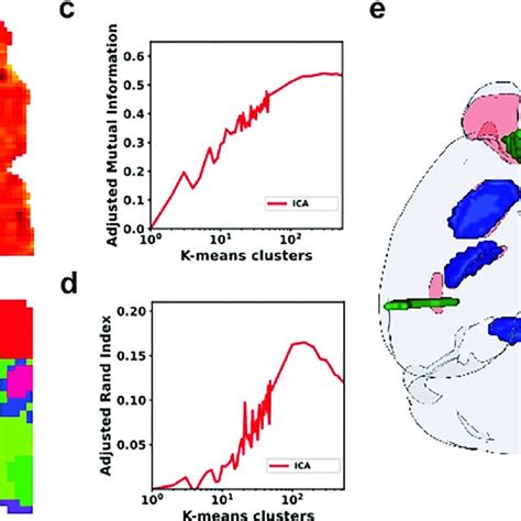 Representation Learning On AMBA With ICA In A Whole Brain Analysis Of