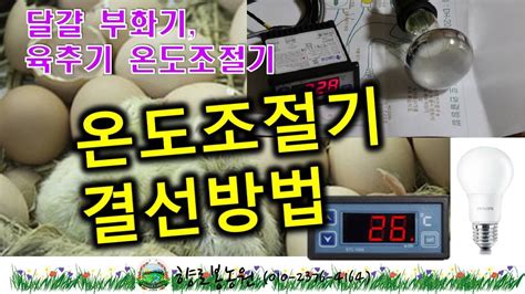 병아리부화기 달걀부화기 병아리육추기에 사용되는 온도조절기 결선하는 방법 Youtube