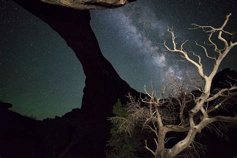 Natural Bridges National Monument | Things to Do | Bluff Dwellings