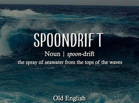 Pin By Amy On Huh In 2024 Uncommon Words Weird Words Nature Words