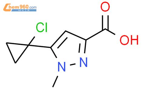 Chlorocyclopropyl Methyl H Pyrazole Carboxylic