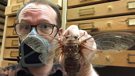 It Might Bug You But University Of Manitobas Insect Collection Is Key