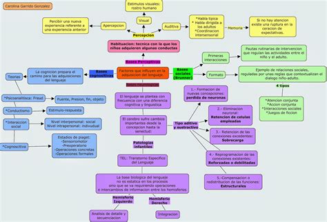 Desarrollo Del Pensamiento Y Lenguaje En La Infancia Factores Que